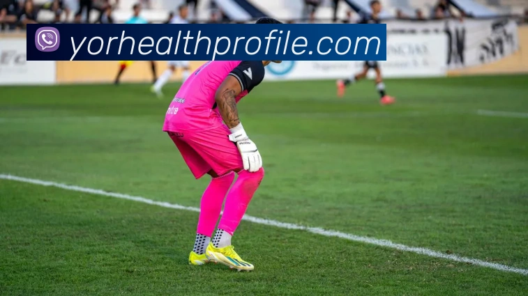 赛事专题整合